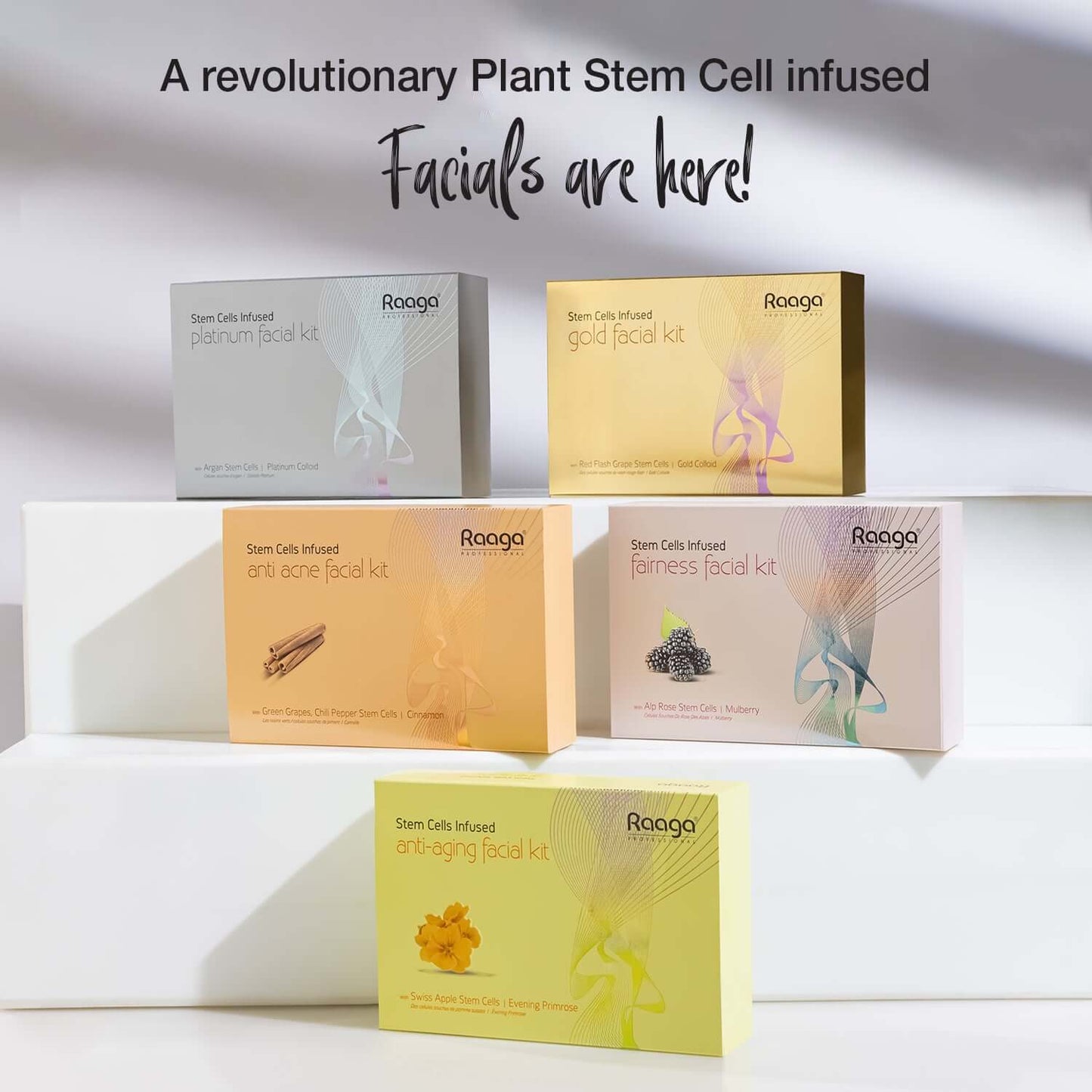 Raaga Stem Cells Infused Fairness 6 Step Facial Kit | Brightening Power of Mulberry and Alp Rose Stem Cells | Reduces Dark Spots | All Skin Types (61 gm)