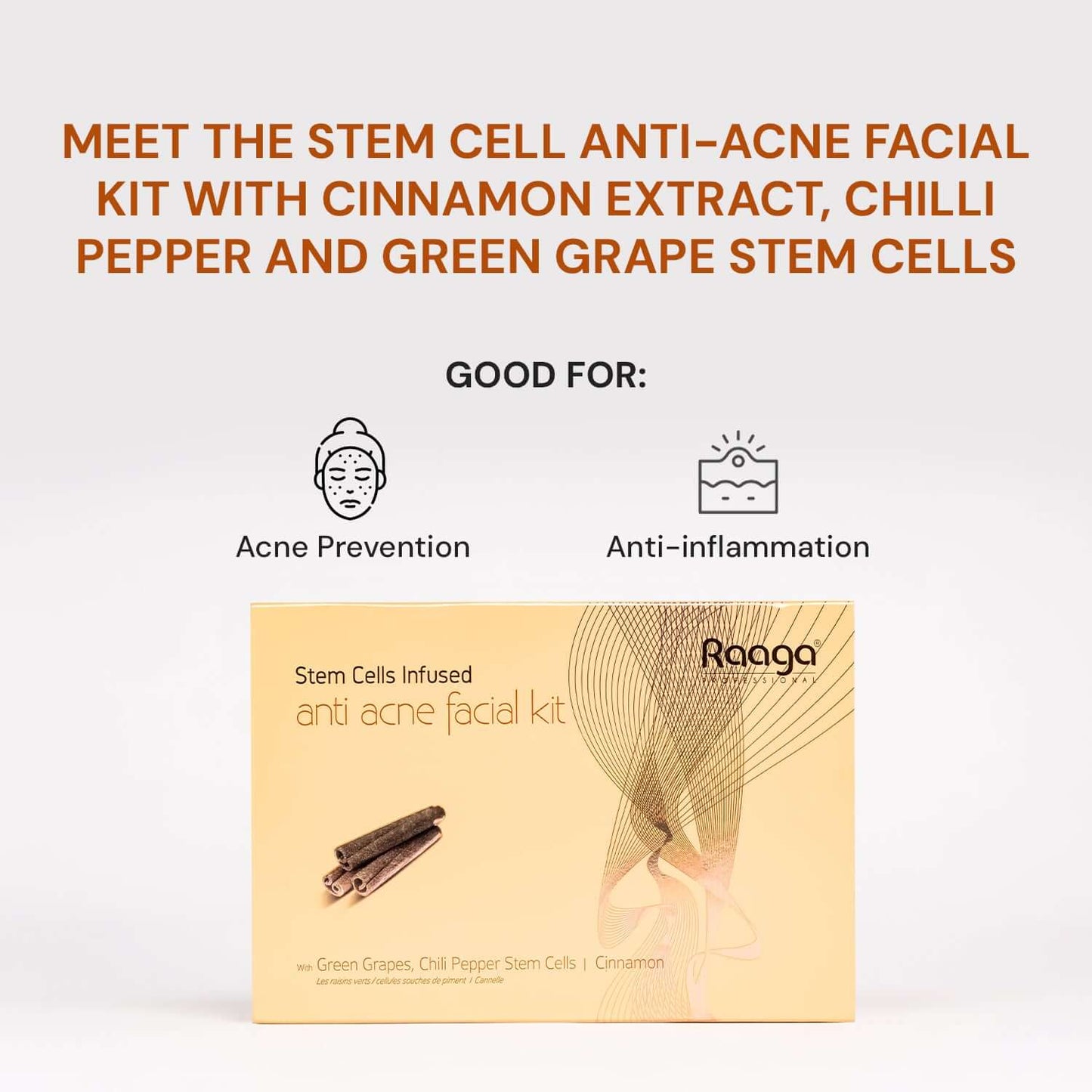 Raaga Professional Stem Cells Infused Anti Acne 6 Step Facial Kit | Cinnamon, Green Grapes, Chilli Pepper Stem Cells | Fights Inflammation (61 gm)