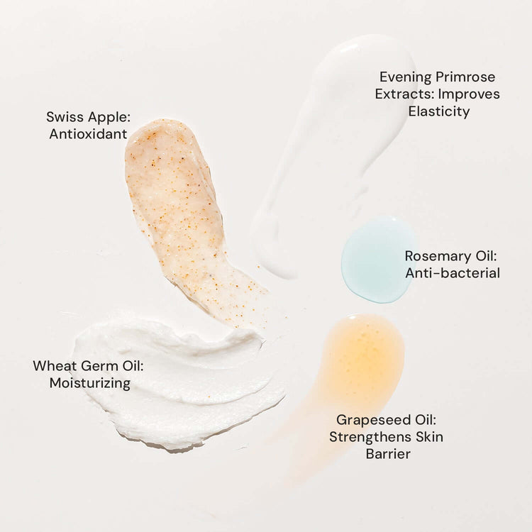 Raaga Stem Cells Infused Anti-Aging Facial Kit | 6-Step Complete Skincare | Evening Primrose, Swiss Apple Stem Cells | Youthful Radiance (61 gm)