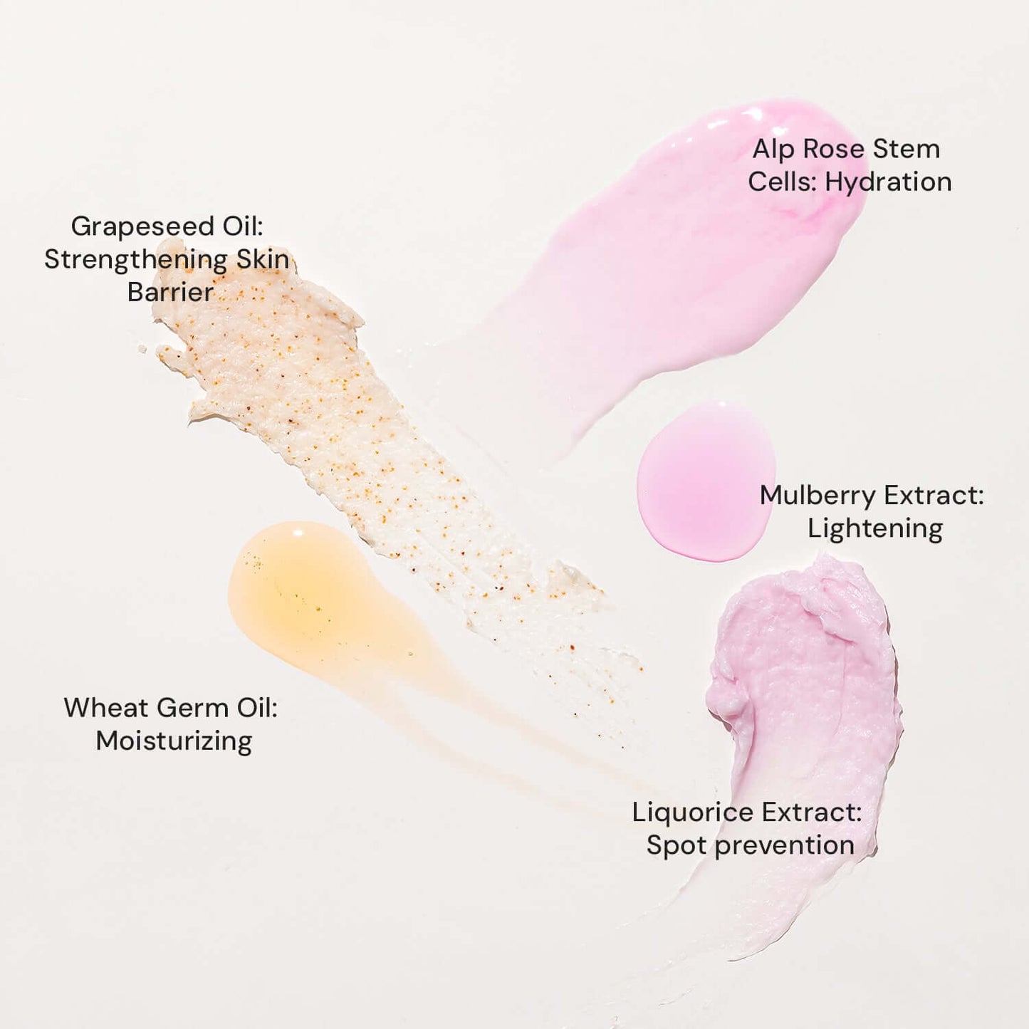 Raaga Stem Cells Infused Fairness 6 Step Facial Kit | Brightening Power of Mulberry and Alp Rose Stem Cells | Reduces Dark Spots | All Skin Types (61 gm)