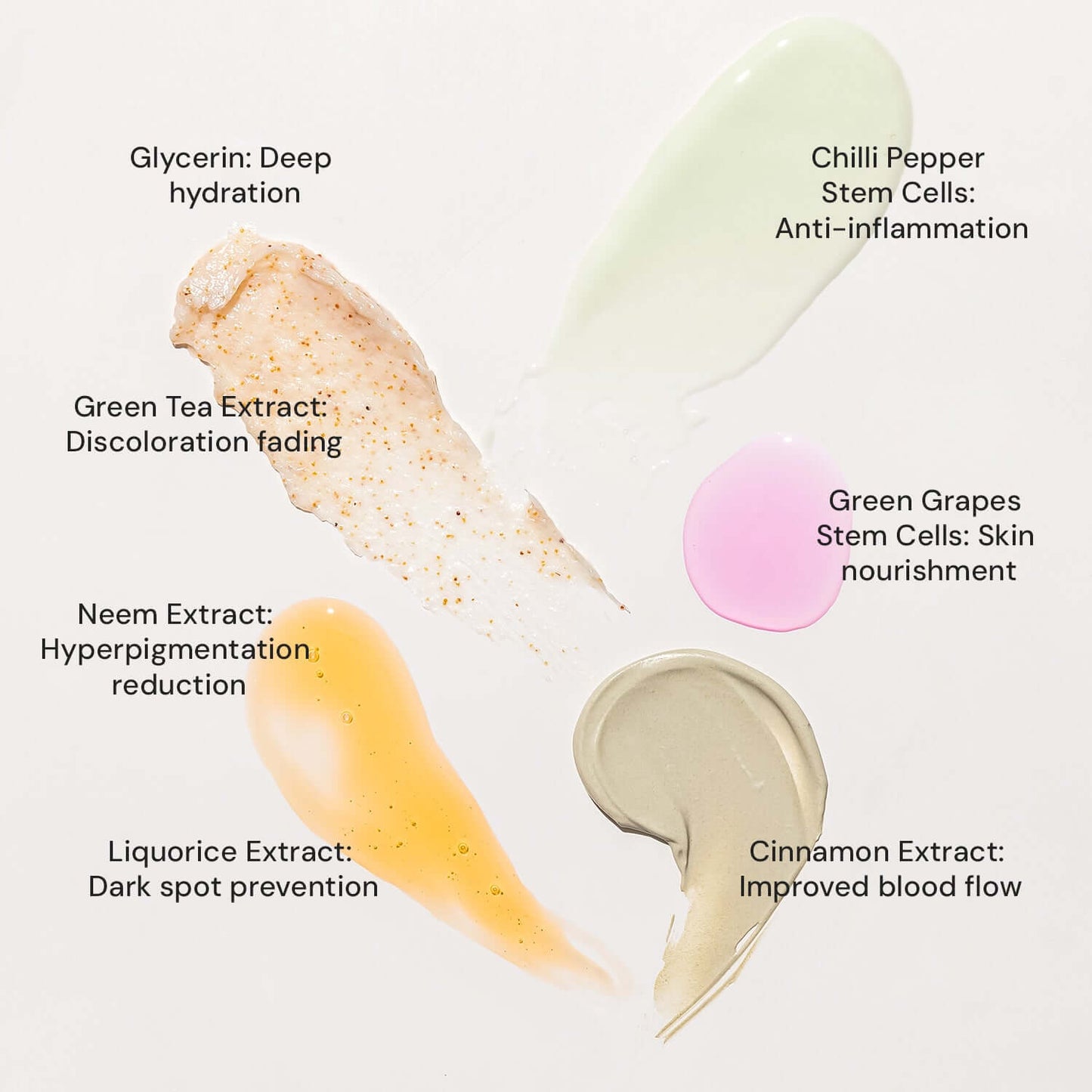 Raaga Professional Stem Cells Infused Anti Acne 6 Step Facial Kit | Cinnamon, Green Grapes, Chilli Pepper Stem Cells | Fights Inflammation (61 gm)